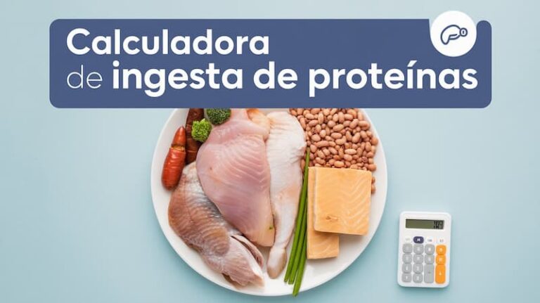 calculadora de ingesta de proteinas